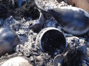 Cuissons bois à Vacquières - Résultats de la cuisson au bois