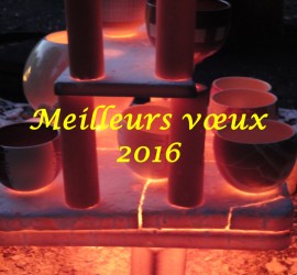 Cuisson raku - Meilleurs vœux 2016