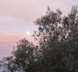 Cuissons raku à Vacquières - La lune nous salut