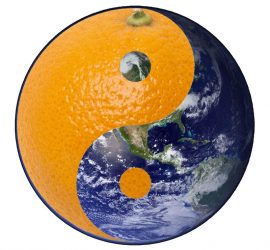 La terre est bleue comme une orange - Vernissage le 26 mars 2016 à l'Auberge du Cèdre de Lauret