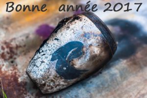 Bonne année 2017